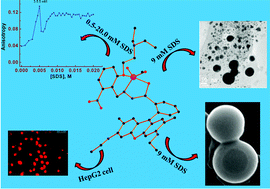 Graphical abstract: Surfactant modulated aggregation induced enhancement of emission (AIEE)—a simple demonstration to maximize sensor activity