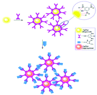 Graphical abstract: Picric acid capped silver nanoparticles as a probe for colorimetric sensing of creatinine in human blood and cerebrospinal fluid samples