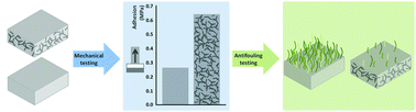 Graphical abstract: Complex shaped ZnO nano- and microstructure based polymer composites: mechanically stable and environmentally friendly coatings for potential antifouling applications