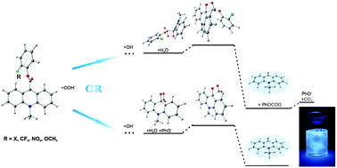 Graphical abstract: Effective chemiluminogenic systems based on acridinium esters bearing substituents of various electronic and steric properties