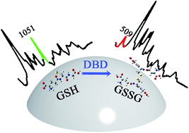 Graphical abstract: A SERS study of oxidation of glutathione under plasma irradiation