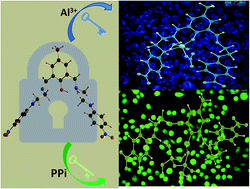 Graphical abstract: Dual channel selective fluorescent detection of Al3+ and PPi in mixed aqueous media: DFT studies and cell imaging applications