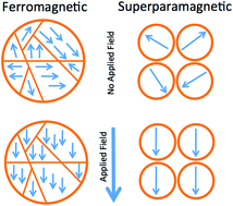 Graphical abstract: Coupling the magnetic and heat dissipative properties of Fe3O4 particles to enable applications in catalysis, drug delivery, tissue destruction and remote biological interfacing