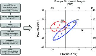 Graphical abstract: Comparing surface properties of melanoma cells using time of flight secondary ions mass spectrometry