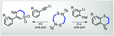 Graphical abstract: N-Tosyl-1,5,2,6-dithiadiazocane: a waste-free electrophilic sulfur reagent for the efficient synthesis of medium-ring S,N-heterocycles
