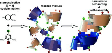 Graphical abstract: Unexpected narcissistic self-sorting at molecular and supramolecular levels in racemic chiral calixsalens