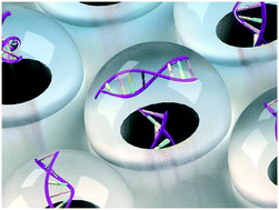 Graphical abstract: Micro-/nanoscale electroporation