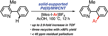 Graphical abstract: Chelation-directed C–H activation/C–C bond forming reactions catalyzed by Pd(ii) nanoparticles supported on multiwalled carbon nanotubes