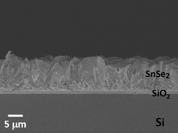 Graphical abstract: Tin(iv) chalcogenoether complexes as single source precursors for the chemical vapour deposition of SnE2 and SnE (E = S, Se) thin films