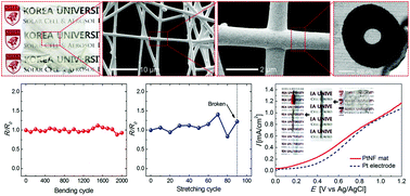 Graphical abstract: Facile processes for producing robust, transparent, conductive platinum nanofiber mats