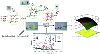 Graphical abstract: A wheat straw cellulose based semi-IPN hydrogel reactor for metal nanoparticles preparation and catalytic reduction of 4-nitrophenol