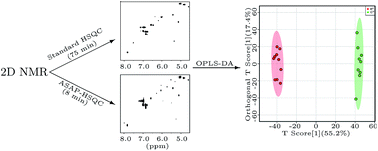 Graphical abstract: Fast profiling of metabolite mixtures using chemometric analysis of a speeded-up 2D heteronuclear correlation NMR experiment