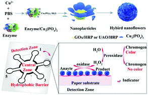 Graphical abstract: A multiplex paper-based nanobiocatalytic system for simultaneous determination of glucose and uric acid in whole blood