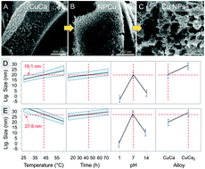 Graphical abstract: Synthesis of copper oxide nanowires and nanoporous copper via environmentally friendly transformation of bulk copper–calcium alloys