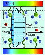 Graphical abstract: Highly enhanced liquid flows via thermoosmotic effects in soft and charged nanochannels