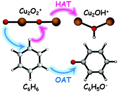 Graphical abstract: Hydrogen- and oxygen-atom transfers in the thermal activation of benzene mediated by Cu2O2+ cations