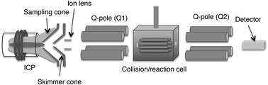 Graphical abstract: Determination of strontium 90 in environmental samples by triple quadrupole ICP-MS and its application to Fukushima soil samples