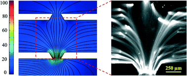 Graphical abstract: Microfluidic long DNA sample preparation from cells