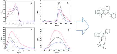 Graphical abstract: Role of solute-solvent hydrogen bonds on the ground state and the excited state proton transfer in 3-hydroxyflavone. A systematic spectrophotometric study