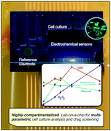 Graphical abstract: A self-calibrating and multiplexed electrochemical lab-on-a-chip for cell culture analysis and high-resolution imaging