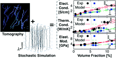 Graphical abstract: Aligned carbon nanotube morphogenesis predicts physical properties of their polymer nanocomposites