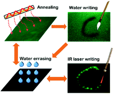 Graphical abstract: On–Off switching of the phosphorescence signal in a carbon dot/polyvinyl alcohol composite for multiple data encryption