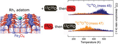 Graphical abstract: Adsorbate-induced structural evolution changes the mechanism of CO oxidation on a Rh/Fe3O4(001) model catalyst