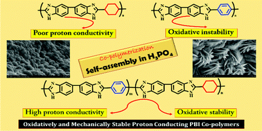 Graphical abstract: Polybenzimidazole co-polymers: their synthesis, morphology and high temperature fuel cell membrane properties