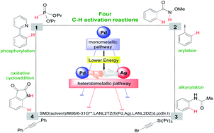 Graphical abstract: Is silver a mere terminal oxidant in palladium catalyzed C–H bond activation reactions?