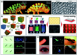 Graphical abstract: Bio-inspired sensing and actuating materials