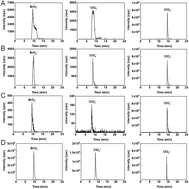 Graphical abstract: Simultaneous determination of chlorite, chlorate, perchlorate and bromate in ozonated saline by using IC-MS