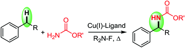 Graphical abstract: Copper-catalyzed oxidative benzylic C(sp3)–H amination: direct synthesis of benzylic carbamates