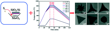 Graphical abstract: Morphological evolution of atomically thin MoS2 flakes synthesized by a chemical vapor deposition strategy