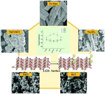 Graphical abstract: Understanding the role of ionic flux on the polarity of the exposed surfaces of ZnO