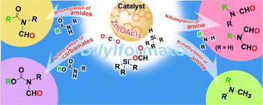 Graphical abstract: Selective N-formylation/N-methylation of amines and N-formylation of amides and carbamates with carbon dioxide and hydrosilanes: promotion of the basic counter anions of the zinc catalyst