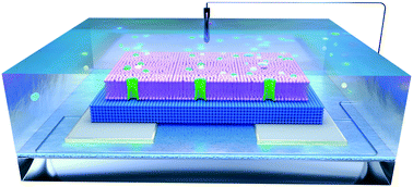 Graphical abstract: Monitoring supported lipid bilayers with n-type organic electrochemical transistors