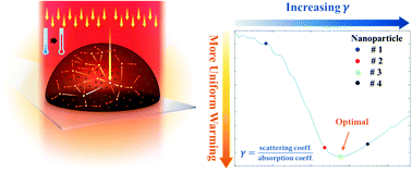 Graphical abstract: Photothermal conversion of gold nanoparticles for uniform pulsed laser warming of vitrified biomaterials