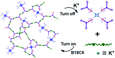 Graphical abstract: Architecture transition of supramolecular polymers through hierarchical self-assembly: from supramolecular polymers to fluorescent materials