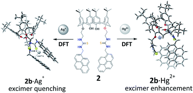 Graphical abstract: Elucidating sensing mechanisms of a pyrene excimer-based calix[4]arene for ratiometric detection of Hg(ii) and Ag(i) and chemosensor behaviour as INHIBITION or IMPLICATION logic gates