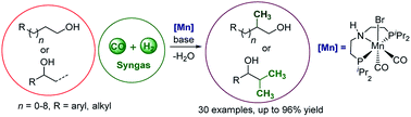 Graphical abstract: Carbon monoxide and hydrogen (syngas) as a C1-building block for selective catalytic methylation