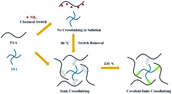 Graphical abstract: A chemical switch enabled autonomous two-stage crosslinking polymeric binder for high performance silicon anodes