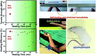 Graphical abstract: Ultrafast self-healing and self-adhesive polysiloxane towards reconfigurable on-skin electronics
