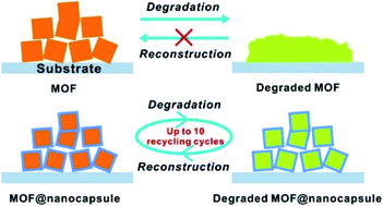 Graphical abstract: Repetitive in situ recycling of degraded metal–organic frameworks within nanocapsules