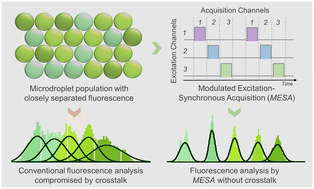 Graphical abstract: Fluorescence crosstalk reduction by modulated excitation-synchronous acquisition for multispectral analysis in high-throughput droplet microfluidics