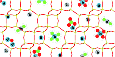 Graphical abstract: Influence of ion mobility on the redox and catalytic properties of Cu ions in zeolites