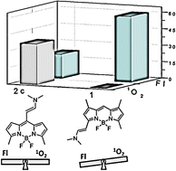 Graphical abstract: Halogen-free photosensitizers based on meso-enamine-BODIPYs for bioimaging and photodynamic therapy