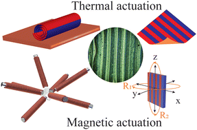 Graphical abstract: Multi-material 3D printing-enabled multilayers for smart actuation via magnetic and thermal stimuli