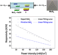 Graphical abstract: Controllable p-type doping of 2D MoS2via Sodium intercalation for optoelectronics