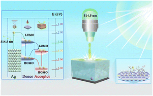 Graphical abstract: Charge transfer in the Ag–polymer–fullerene system of organic solar cells (OSCs) observed by surface-enhanced Raman spectroscopy: donor/acceptor concentration-dependent