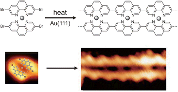 Graphical abstract: Steering on-surface polymerization through coordination with a bidentate ligand